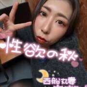 ヒメ日記 2025/11/08 18:21 投稿 朝海【あさみ】 丸妻 西船橋店