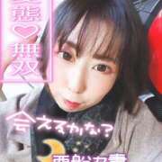 ヒメ日記 2026/02/19 12:35 投稿 朝海【あさみ】 丸妻 西船橋店