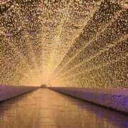 ヒメ日記 2024/12/09 19:51 投稿 みずき 愛知弥富ちゃんこ