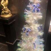 ヒメ日記 2024/12/15 19:41 投稿 みずき 愛知弥富ちゃんこ