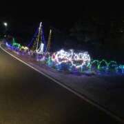 ヒメ日記 2024/12/23 11:41 投稿 みずき 愛知弥富ちゃんこ