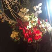 ヒメ日記 2024/12/25 21:21 投稿 みずき 愛知弥富ちゃんこ