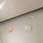 ヒメ日記 2024/12/31 02:51 投稿 みずき 愛知弥富ちゃんこ