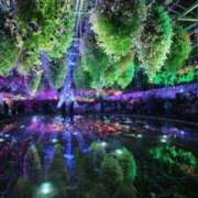 ヒメ日記 2024/12/31 06:41 投稿 みずき 愛知弥富ちゃんこ