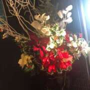 ヒメ日記 2025/01/02 08:21 投稿 みずき 愛知弥富ちゃんこ