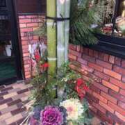 ヒメ日記 2025/01/03 23:11 投稿 みずき 愛知弥富ちゃんこ