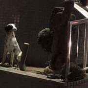 ヒメ日記 2025/01/04 20:51 投稿 みずき 愛知弥富ちゃんこ