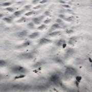 ヒメ日記 2025/02/08 06:41 投稿 みずき 愛知弥富ちゃんこ