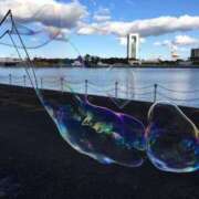 ヒメ日記 2025/02/11 06:21 投稿 みずき 愛知弥富ちゃんこ