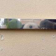 ヒメ日記 2025/02/11 07:51 投稿 みずき 愛知弥富ちゃんこ