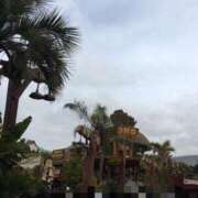 ヒメ日記 2025/02/20 08:21 投稿 みずき 愛知弥富ちゃんこ