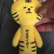 ヒメ日記 2025/03/22 04:01 投稿 みずき 愛知弥富ちゃんこ