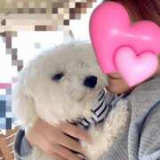 ヒメ日記 2025/03/27 16:01 投稿 みずき 愛知弥富ちゃんこ