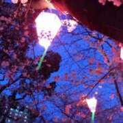 ヒメ日記 2025/03/30 15:25 投稿 みずき 愛知弥富ちゃんこ