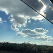 ヒメ日記 2025/03/31 17:02 投稿 みずき 愛知弥富ちゃんこ