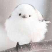 ヒメ日記 2025/04/04 02:41 投稿 みずき 愛知弥富ちゃんこ