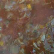 ヒメ日記 2025/04/05 22:11 投稿 みずき 愛知弥富ちゃんこ