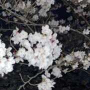 ヒメ日記 2025/04/06 01:03 投稿 みずき 愛知弥富ちゃんこ