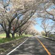 ヒメ日記 2025/04/09 18:21 投稿 みずき 愛知弥富ちゃんこ