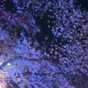 ヒメ日記 2025/04/13 08:51 投稿 みずき 愛知弥富ちゃんこ