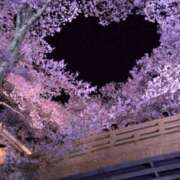 ヒメ日記 2025/04/13 10:21 投稿 みずき 愛知弥富ちゃんこ