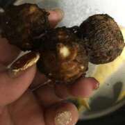 ヒメ日記 2025/04/13 20:01 投稿 みずき 愛知弥富ちゃんこ