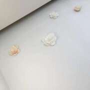 ヒメ日記 2025/04/17 11:01 投稿 みずき 愛知弥富ちゃんこ