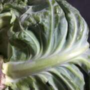 ヒメ日記 2025/04/24 19:31 投稿 みずき 愛知弥富ちゃんこ