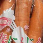 ヒメ日記 2025/04/27 22:33 投稿 みずき 愛知弥富ちゃんこ