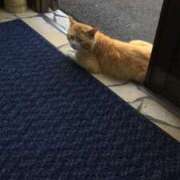 ヒメ日記 2025/05/23 15:51 投稿 みずき 愛知弥富ちゃんこ