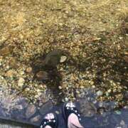 ヒメ日記 2025/06/28 17:21 投稿 みずき 愛知弥富ちゃんこ