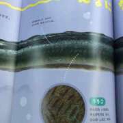 ヒメ日記 2025/07/13 08:11 投稿 みずき 愛知弥富ちゃんこ