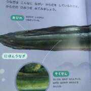 ヒメ日記 2025/07/13 22:21 投稿 みずき 愛知弥富ちゃんこ