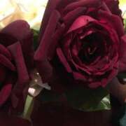 ヒメ日記 2025/07/24 17:31 投稿 みずき 愛知弥富ちゃんこ