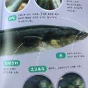 ヒメ日記 2025/07/31 08:01 投稿 みずき 愛知弥富ちゃんこ