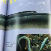 ヒメ日記 2025/07/31 10:21 投稿 みずき 愛知弥富ちゃんこ