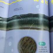 ヒメ日記 2025/07/31 11:41 投稿 みずき 愛知弥富ちゃんこ