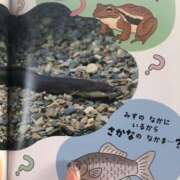 ヒメ日記 2025/07/31 14:01 投稿 みずき 愛知弥富ちゃんこ