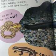 ヒメ日記 2025/07/31 14:21 投稿 みずき 愛知弥富ちゃんこ