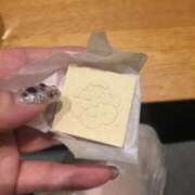 ヒメ日記 2025/08/17 15:11 投稿 みずき 愛知弥富ちゃんこ