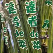 ヒメ日記 2025/09/01 15:51 投稿 みずき 愛知弥富ちゃんこ