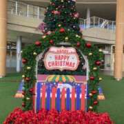 ヒメ日記 2025/11/05 09:02 投稿 みずき 愛知弥富ちゃんこ