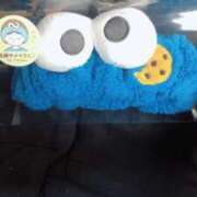 ヒメ日記 2025/11/16 14:01 投稿 みずき 愛知弥富ちゃんこ