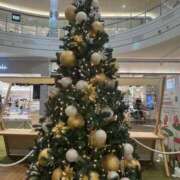 みずき 明日は9:00から(  ´˘`  ) 愛知弥富ちゃんこ