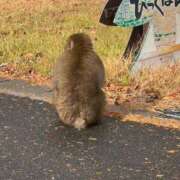 みずき 🙈♥️ 愛知弥富ちゃんこ