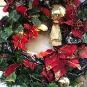 ヒメ日記 2025/12/17 07:21 投稿 みずき 愛知弥富ちゃんこ