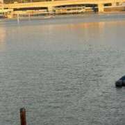 ヒメ日記 2026/01/28 09:31 投稿 みずき 愛知弥富ちゃんこ