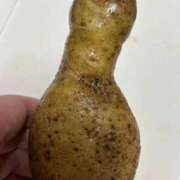 ヒメ日記 2026/01/29 05:31 投稿 みずき 愛知弥富ちゃんこ