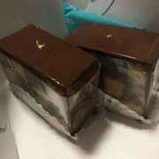 ヒメ日記 2026/02/03 20:31 投稿 みずき 愛知弥富ちゃんこ