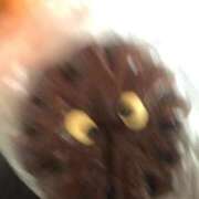 ヒメ日記 2026/02/09 22:23 投稿 みずき 愛知弥富ちゃんこ